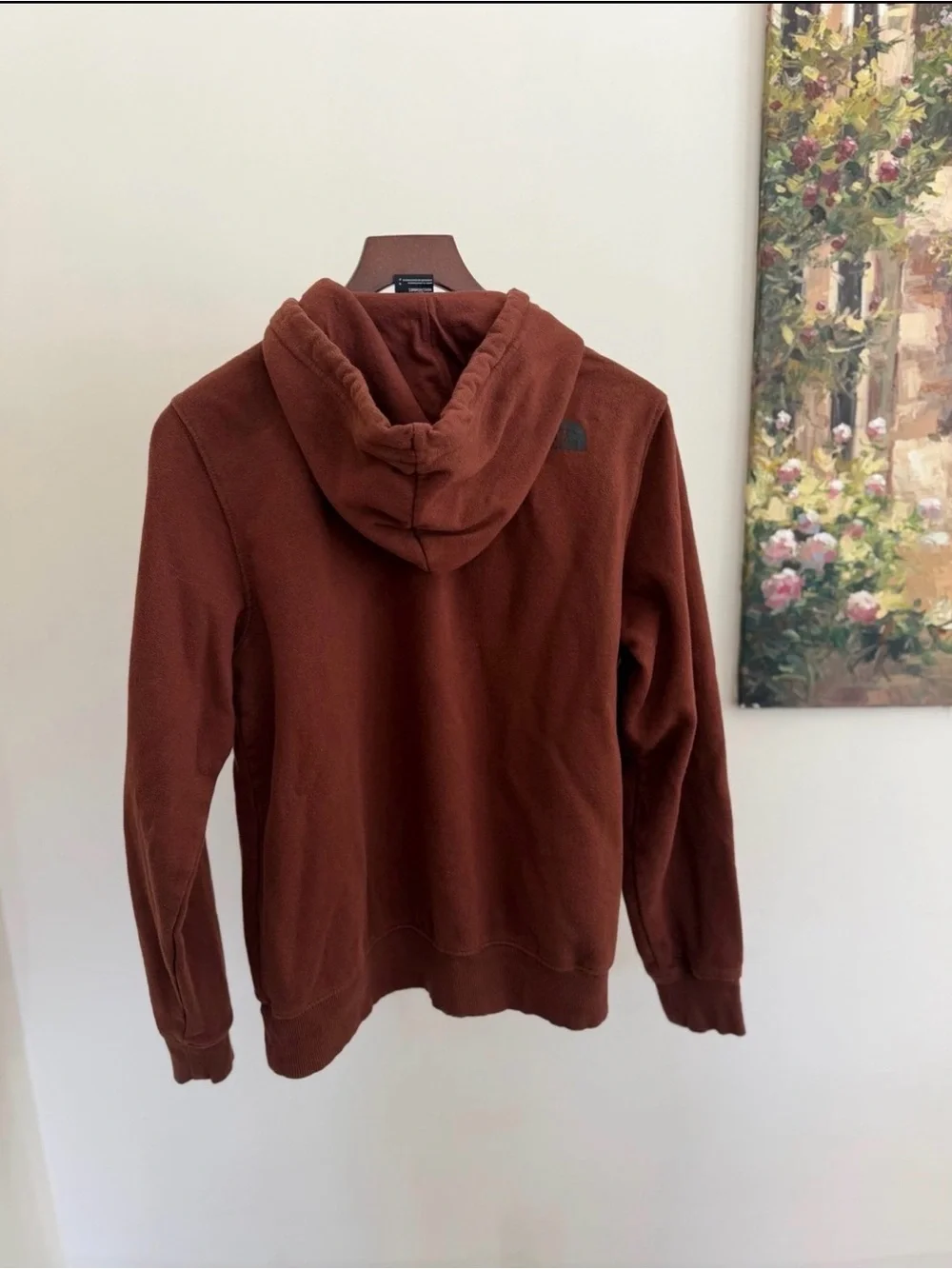 The North Face Men's Rust Brown Bear Graphic Hoodie
